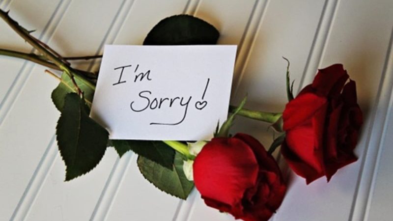 Mơ thấy lời xin lỗi có ý nghĩa gì? Điềm báo như nào?